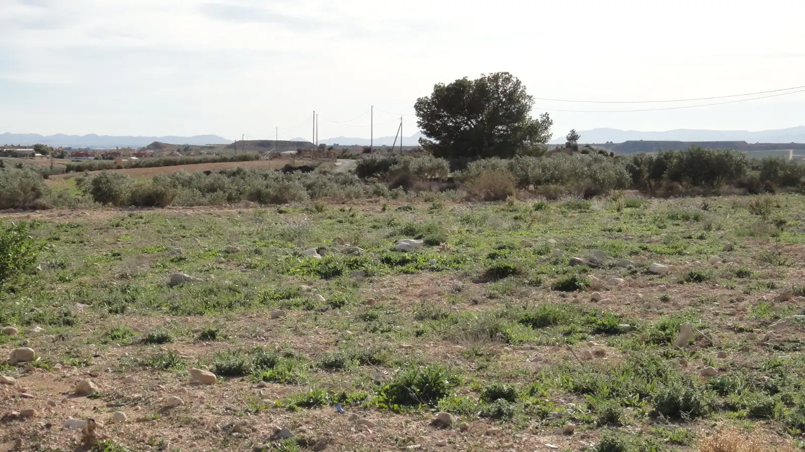 Terreno rustico in vendita a Campo de Murcia, imagen 4