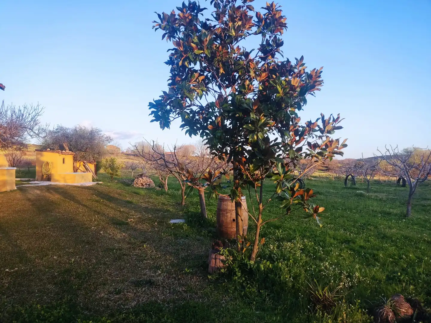 Terreni e lotti in vendita a Jarandilla de la Vera, imagen 3