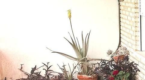 Foto 2 de Pis en venda a Barrio de Patraix,  Valencia Capital