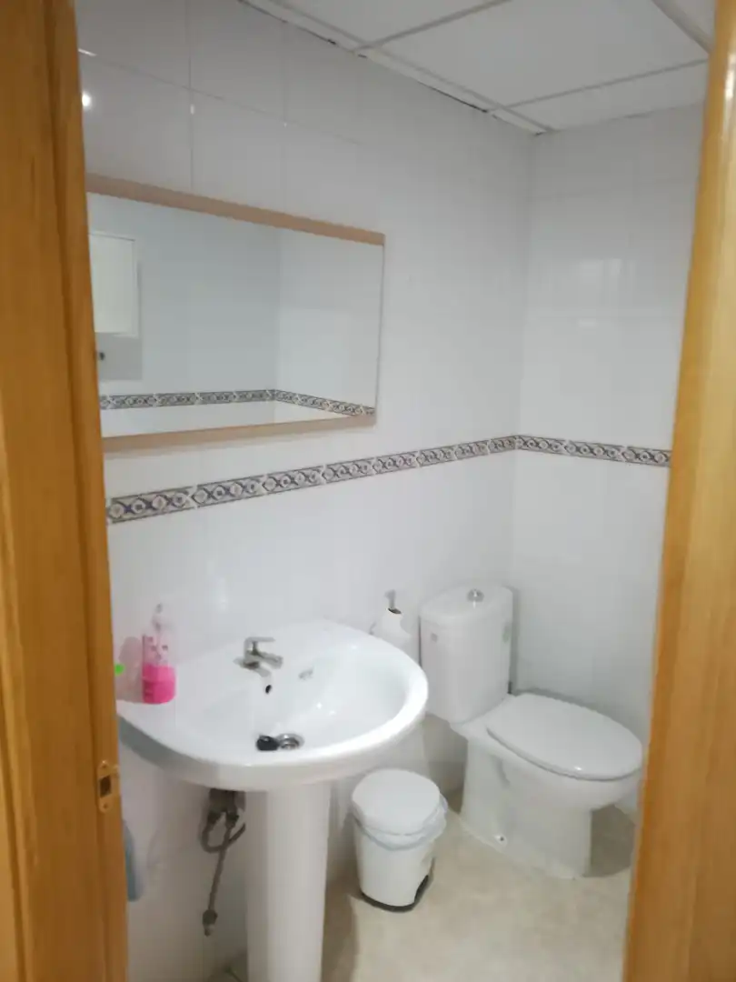 Local comercial en alquiler en Zona de la Vega, imagen 4