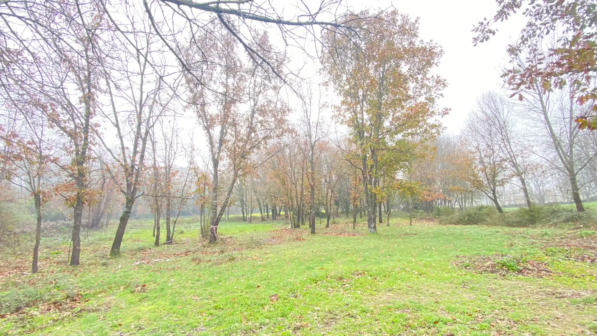 Terreni e lotti in vendita a Valdastillas, imagen 17