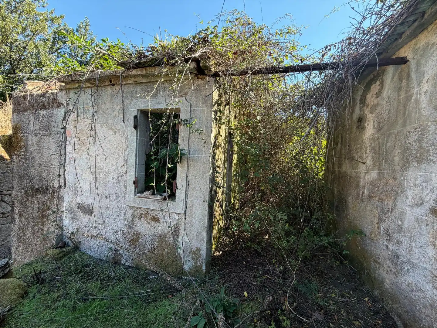 Casa rústica con jardín en venta en PO-254, imagen 7
