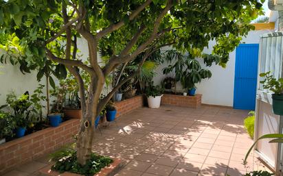 Garden of House or chalet for sale in San Roque  with Terrace