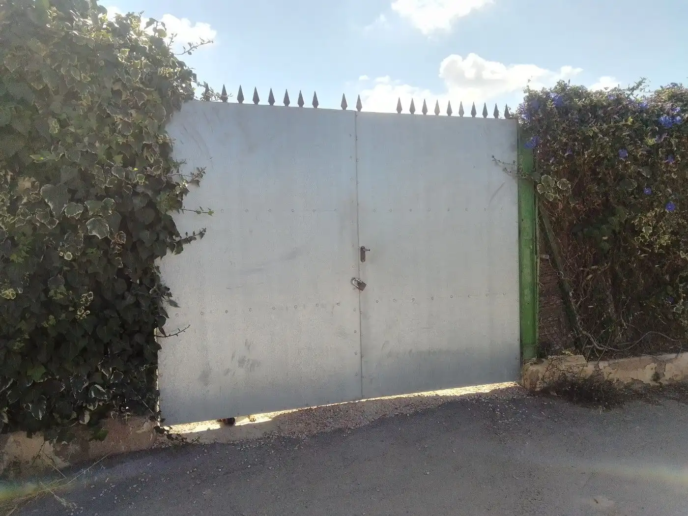 Jardí de Casa o xalet en venda en Torre-Pacheco amb Terrassa, Traster i Piscina