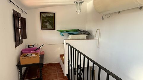 Foto 4 de Finca rústica en venta en Canillas de Aceituno, Málaga