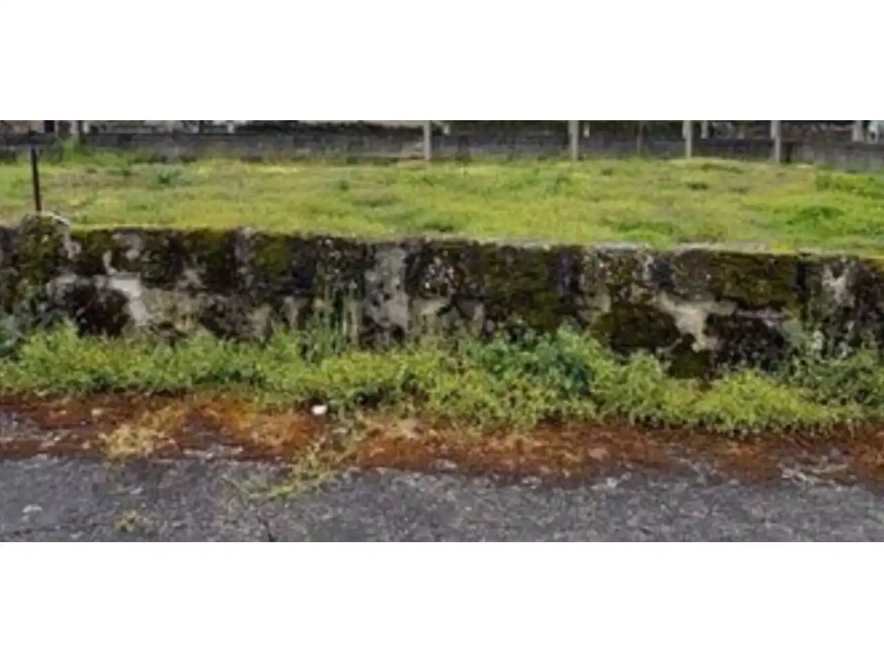 Terrenos y solares en venta en O Pereiro de Aguiar