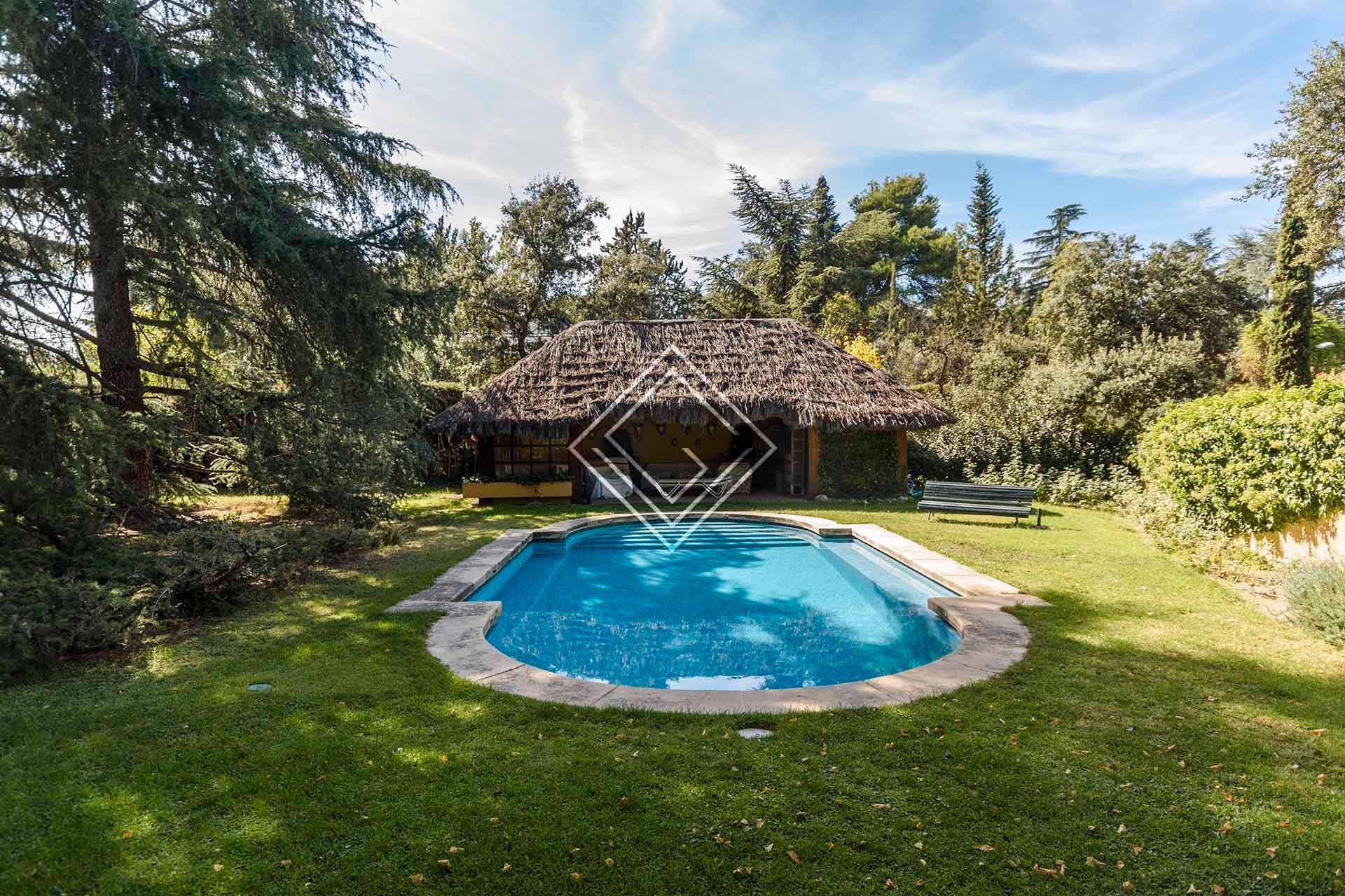 Swimming pool of House or chalet for sale in  Madrid Capital  with Private garden and Swimming Pool