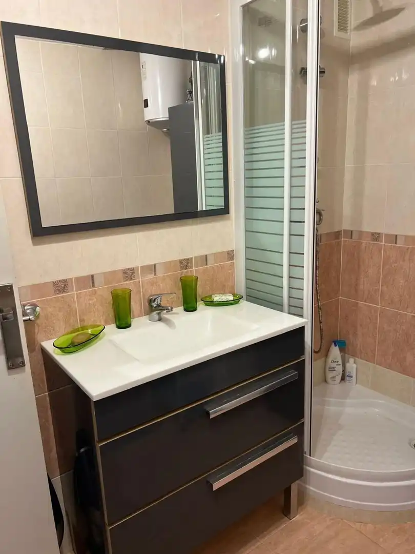 Appartement avec jardin à vendre à Paseo Reina Sofía 9, imagen 8