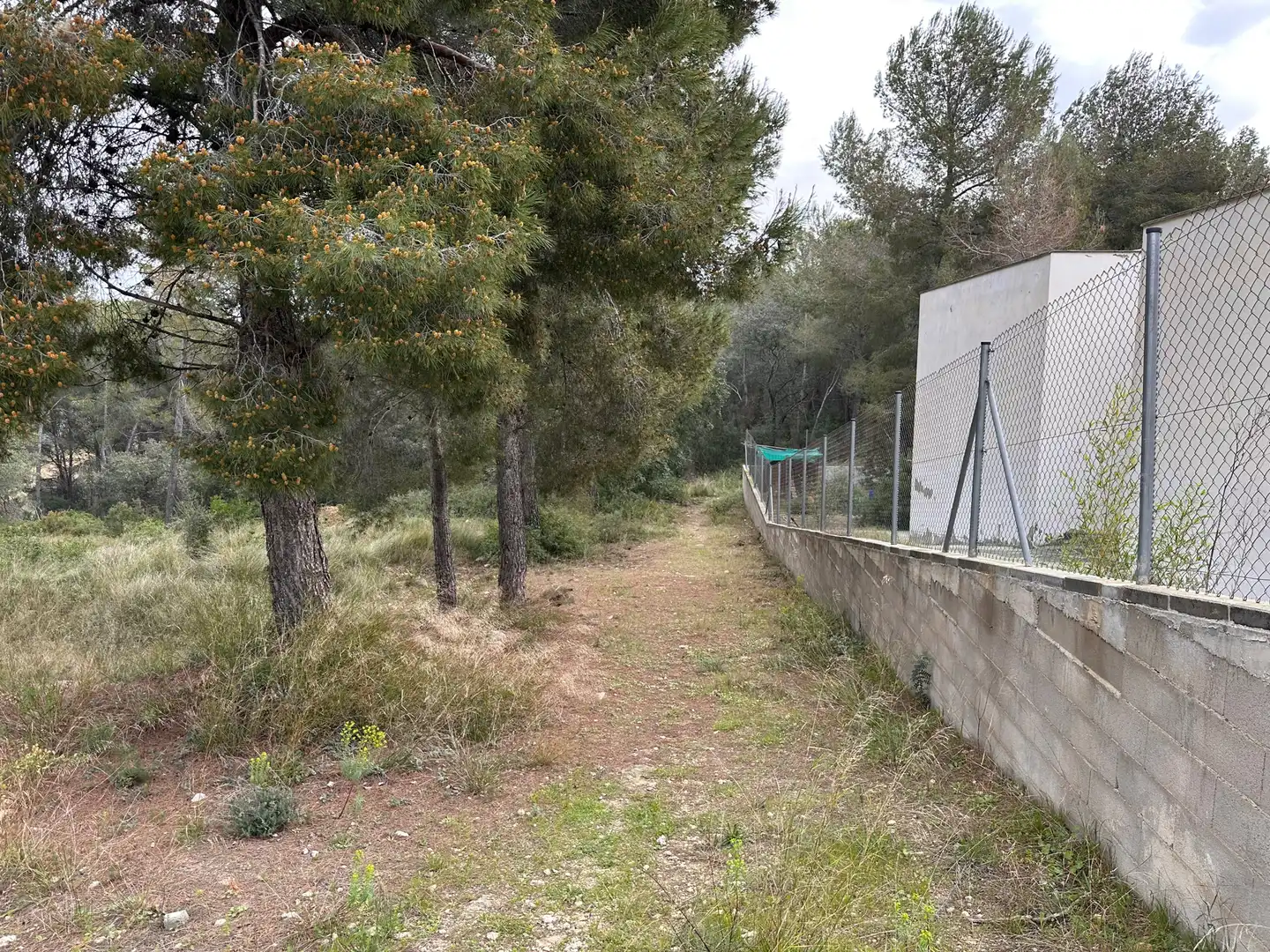 Terreno residencial en venta en Primera Avinguda 41, imagen 4