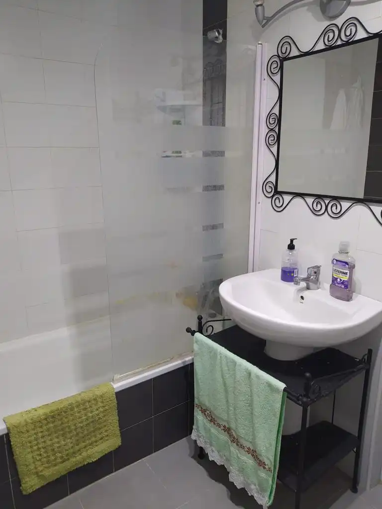 Apartamento de alquiler en Calle Fausto Culebras, 20, Centro
