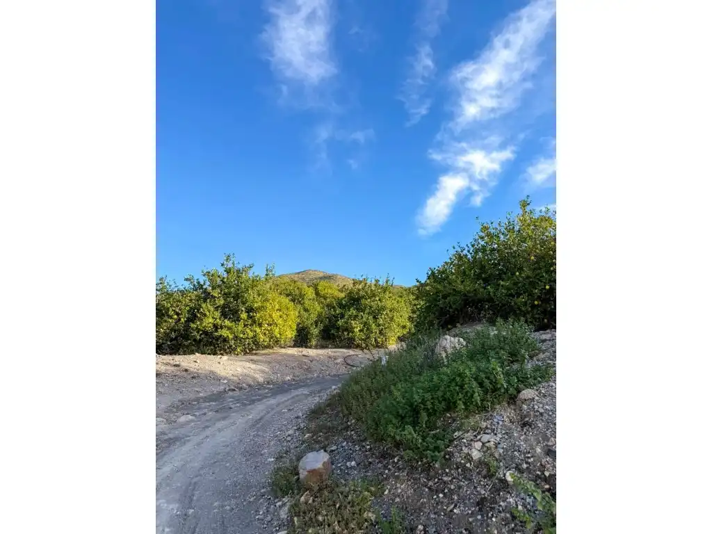 Houses for sale in Poligono 7 Paraje 48 El Marchal, Cantoria