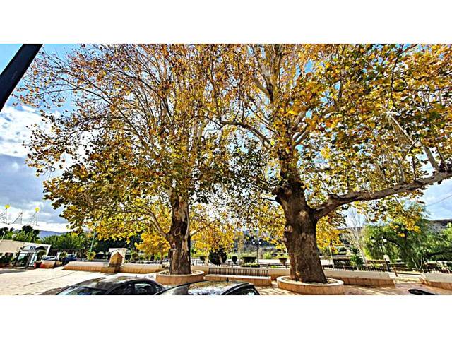 Casa-chalet en Venta en Calle meson en Santa Cruz de Marchena