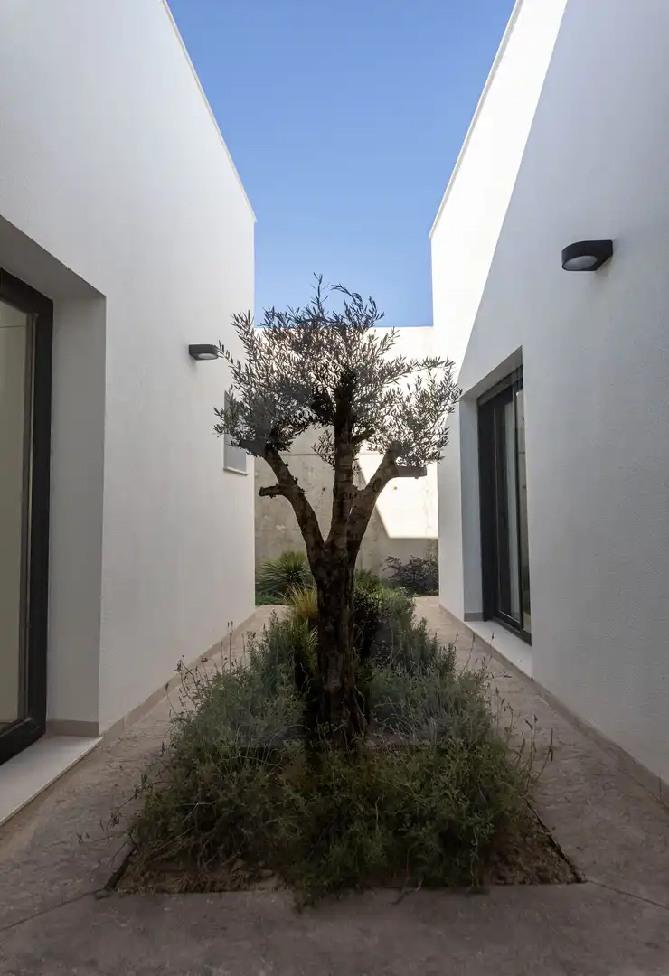 Chalet con piscina en venta en Campo de Murcia, imagen 10