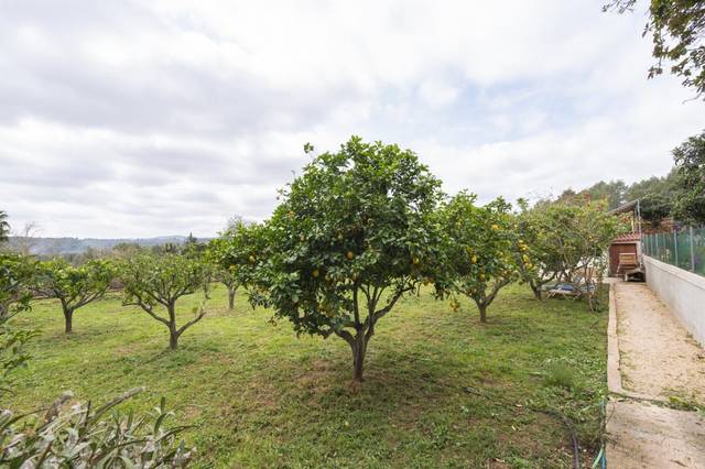 Casa-chalet en Venta en Diseminado P 26 Sta Gertrudis en Santa Gertrudis