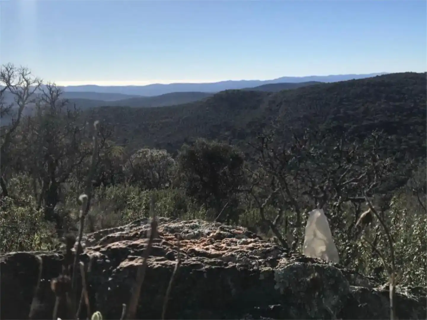 Terreno en venta en Calera de León