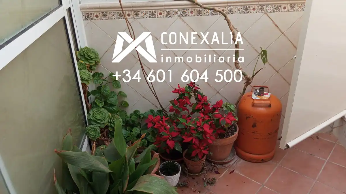 Terraza de Casa o chalet en venta en Olvera con Terraza y Balcón