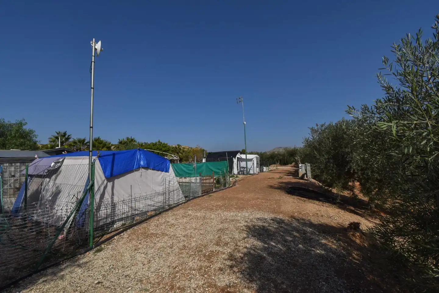 Rustikales Grundstück zum Verkauf in Partida Torrellano Alto, imagen 19