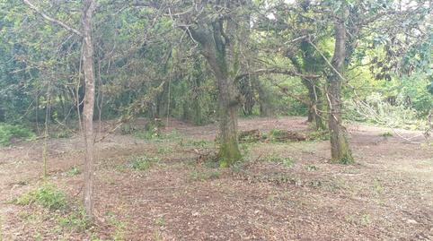 Foto 3 de Terreno en venta en Mugardos, A Coruña