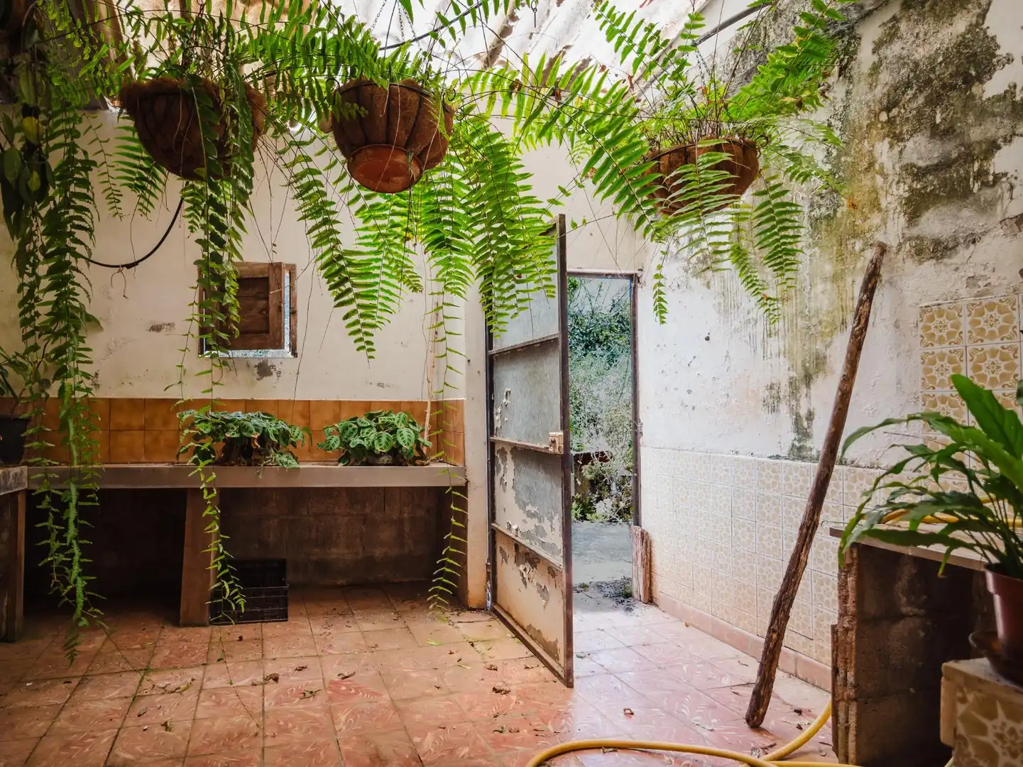 Garden of Houses for sale in Moya (Las Palmas)  with Private garden, Terrace and Balcony