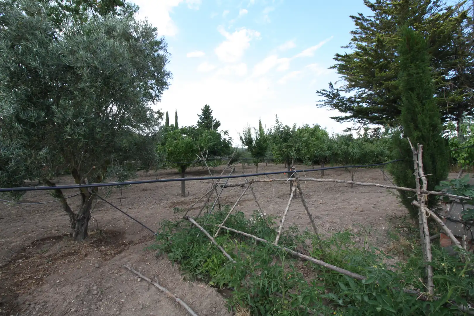 Casa o xalet en venda en Laguna de Duero amb Calefacció, Jardí privat i Terrassa