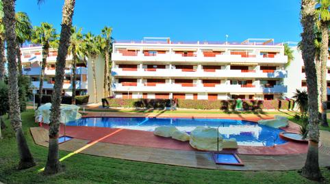Foto 4 de Apartament en venda a Playa Flamenca, Orihuela