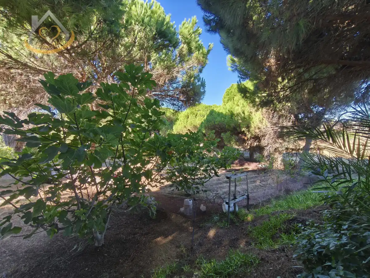 Garten von Grundstücke zum Verkauf in Isla Cristina