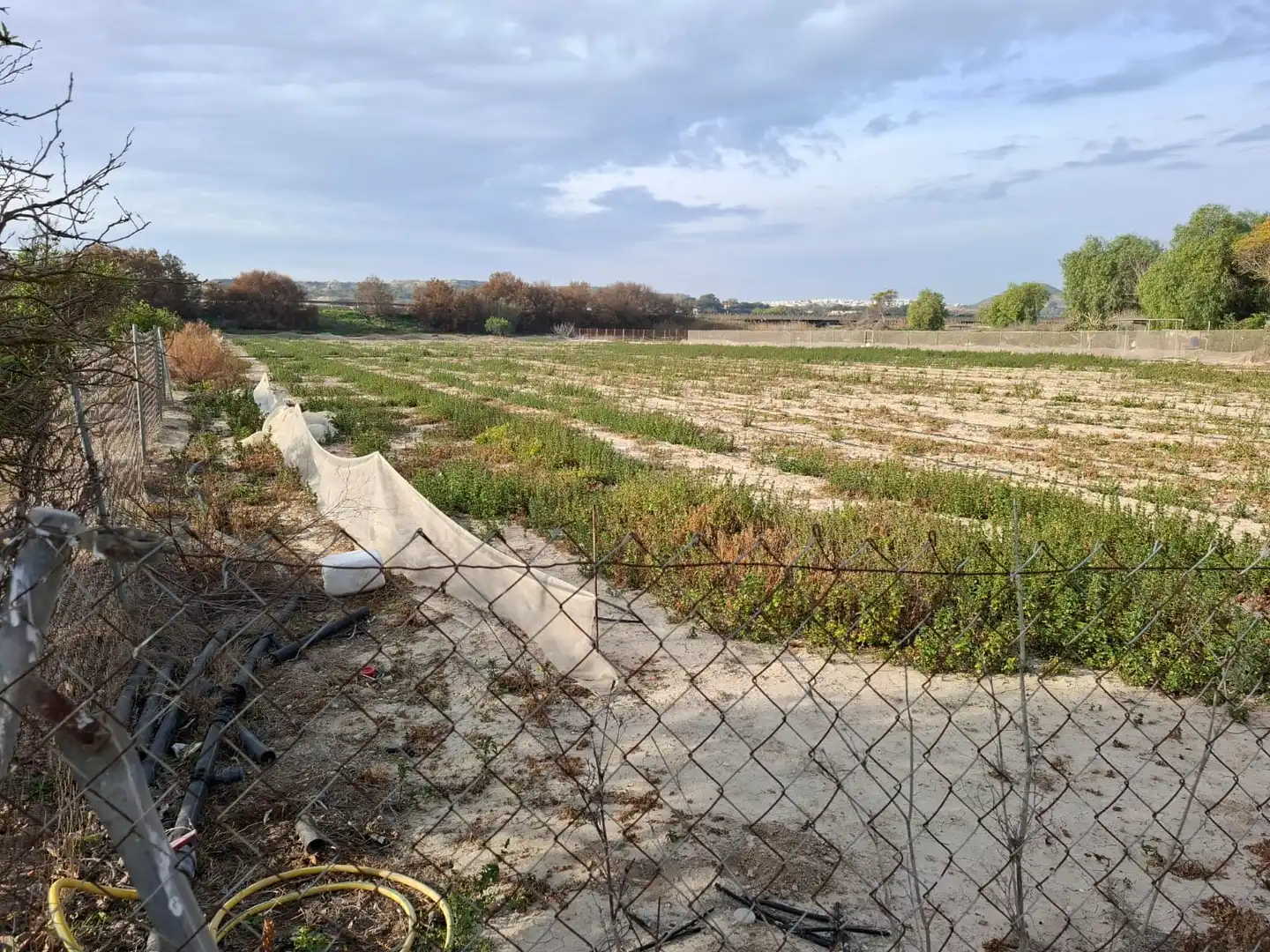 Terreno en venta en Guardamar del Segura