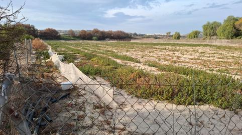 Photo 4 of Land for sale in Partida la Capitana, El Edén, Alicante
