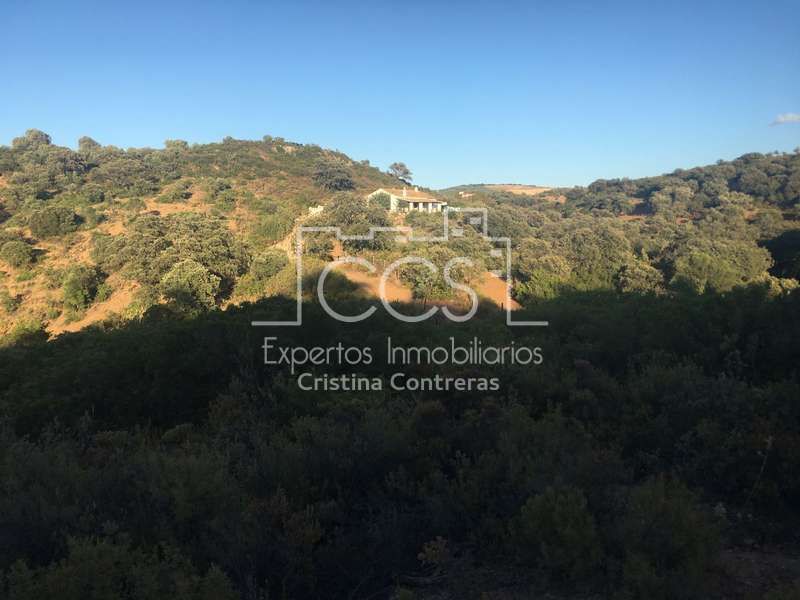 Vista exterior de Finca rústica en venda en La Puebla de Cazalla amb Moblat