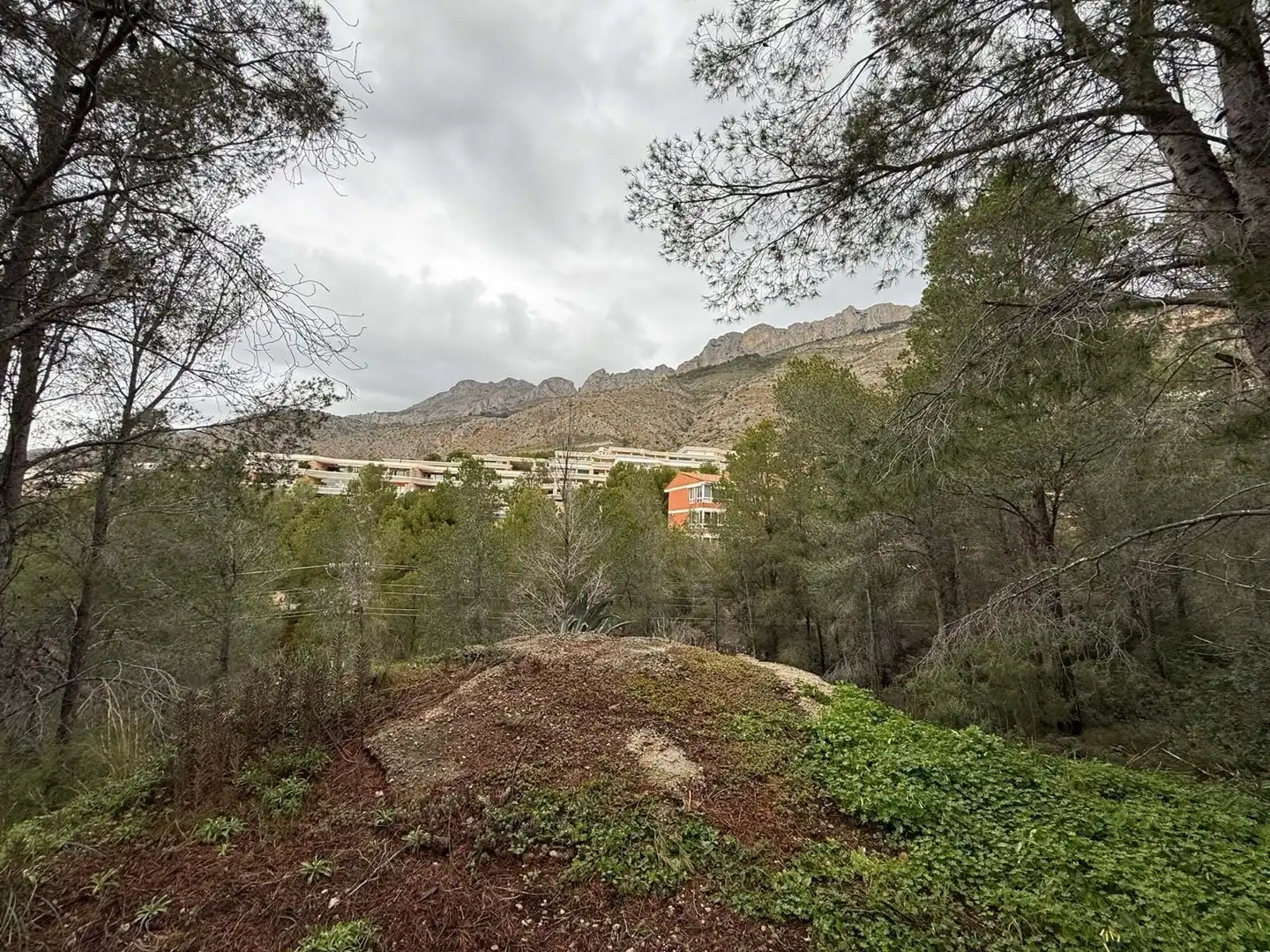 Terreny residencial en venda a Erica, imagen 2