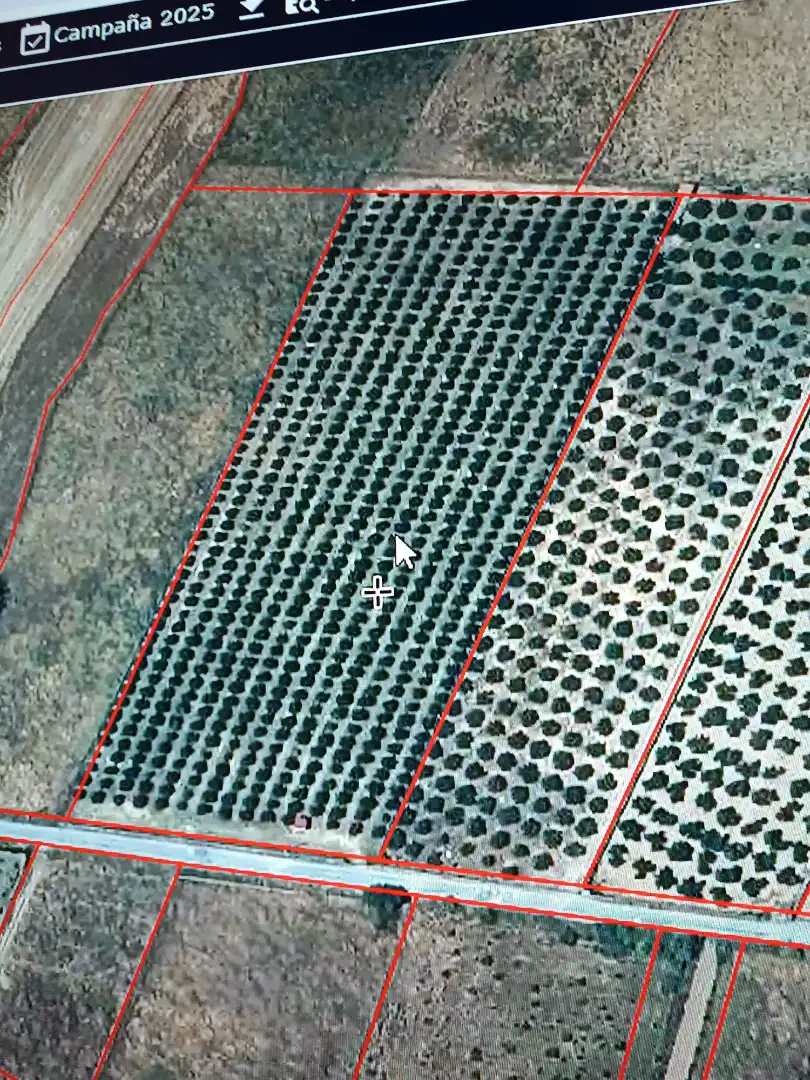 Terreno en venta en Guadalmez