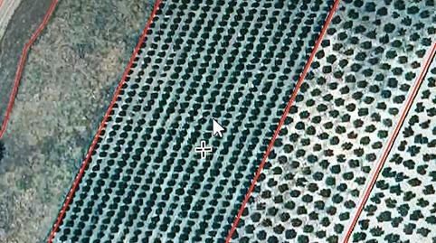 Foto 3 de Terreno en venta en Calle Ayuntamiento, 25, Guadalmez, Ciudad Real