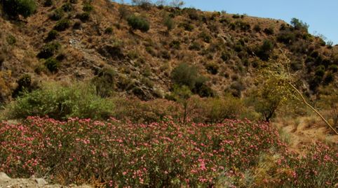 Foto 5 de Residencial en venda a Cártama, Málaga