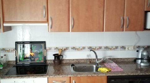 Preciso Finca de recreo en Lardero con casa de 2 Plantas, immagine 4