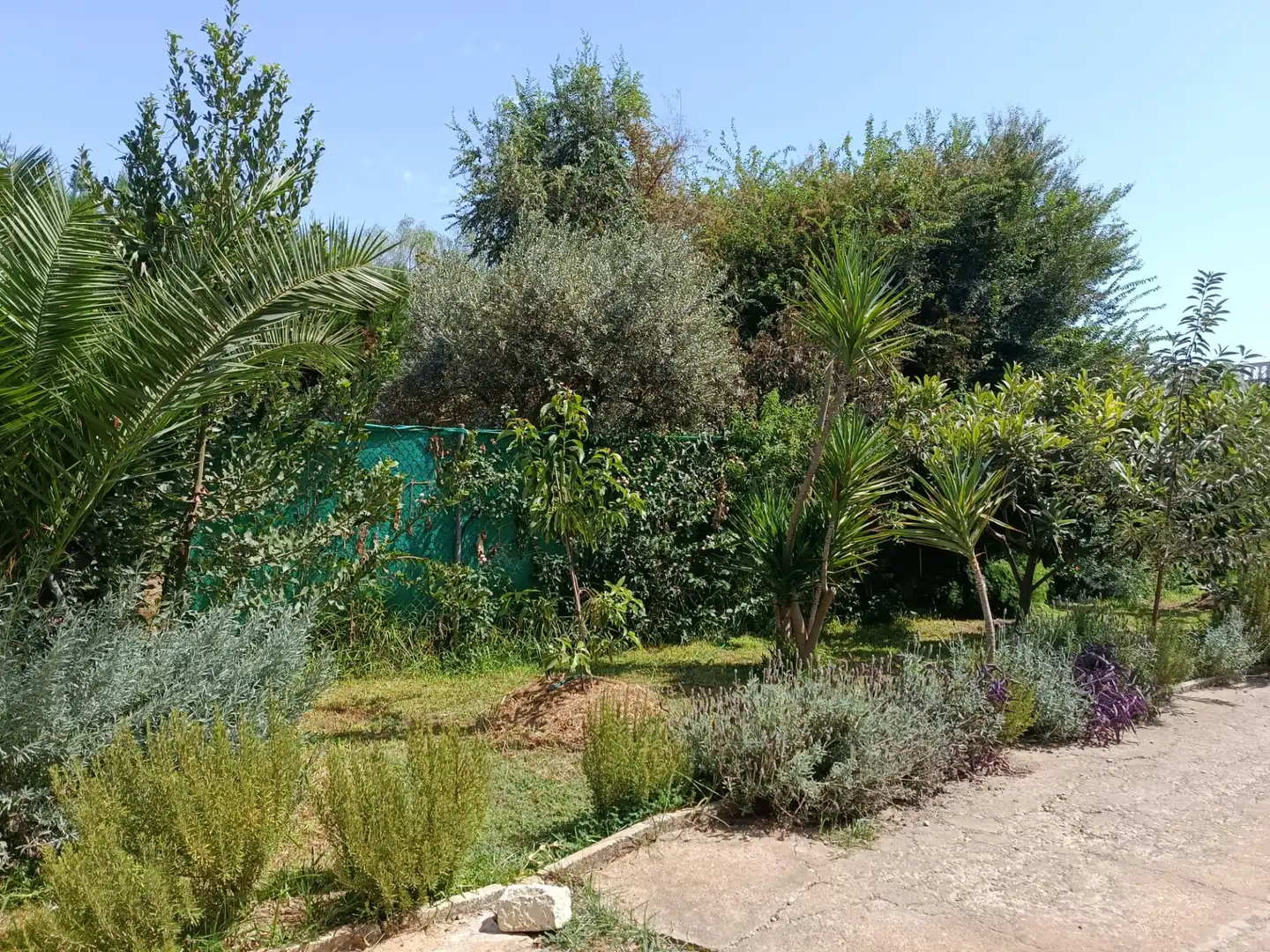 Villa avec piscine à louer à Urbanizacion el Campillo, imagen 69