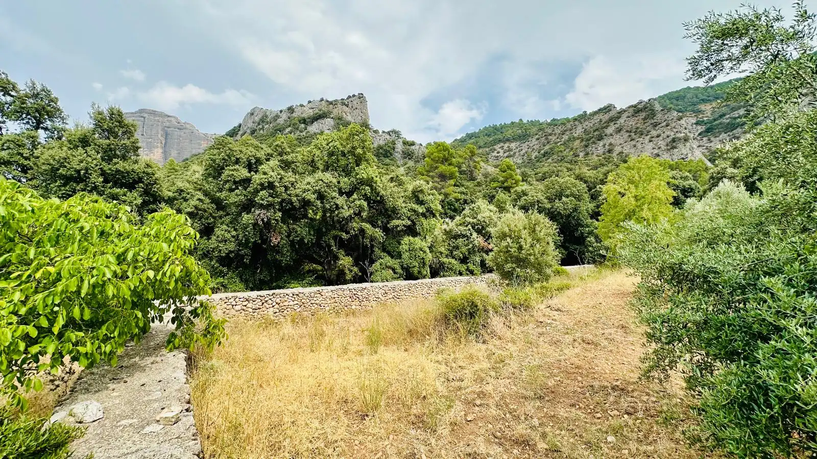 Rural land for sale in Horta de Sant Joan, imagen 11