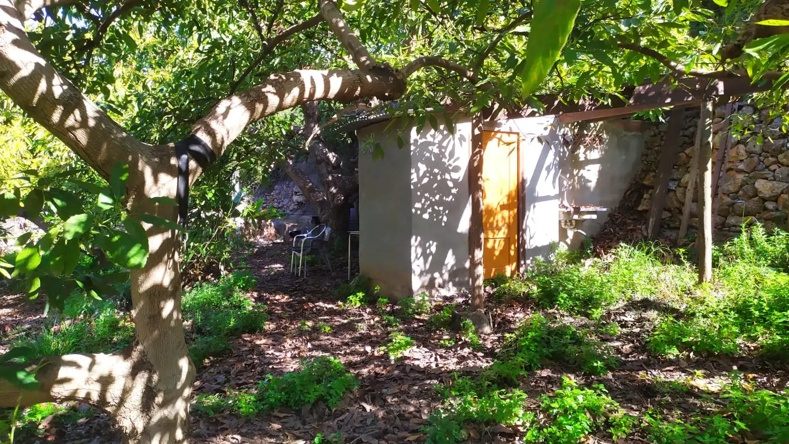 Rural land for sale in Paraje Almachares 15, imagen 10
