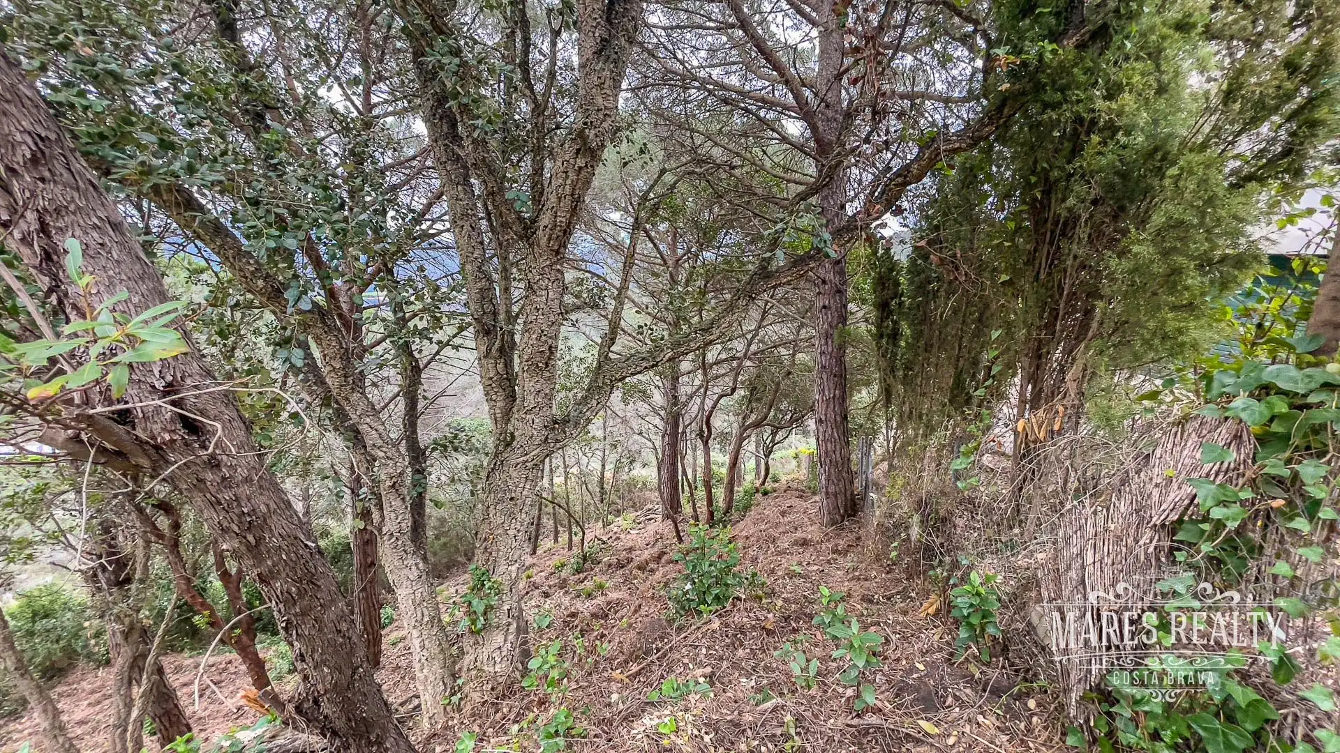 Terrenos y solares en venta en Serra Brava, imagen 2