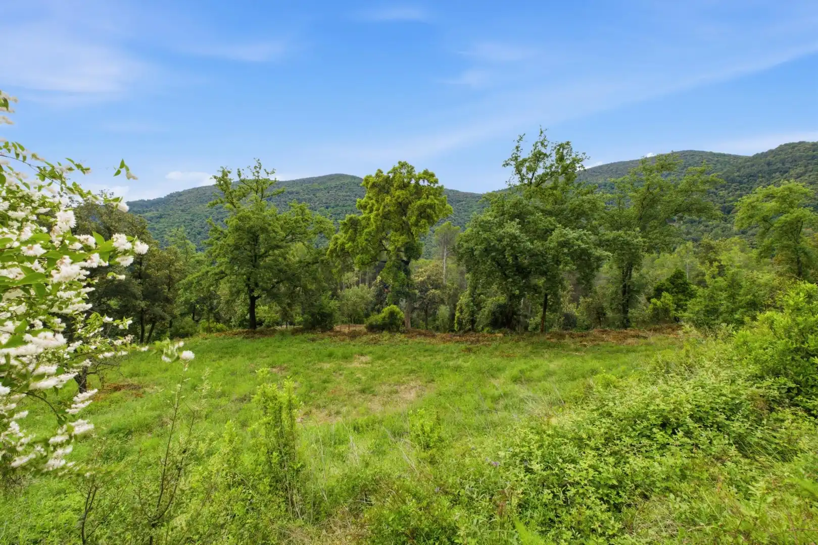 Residential land for sale in 120A,  Avinguda de Catalunya, imagen 12