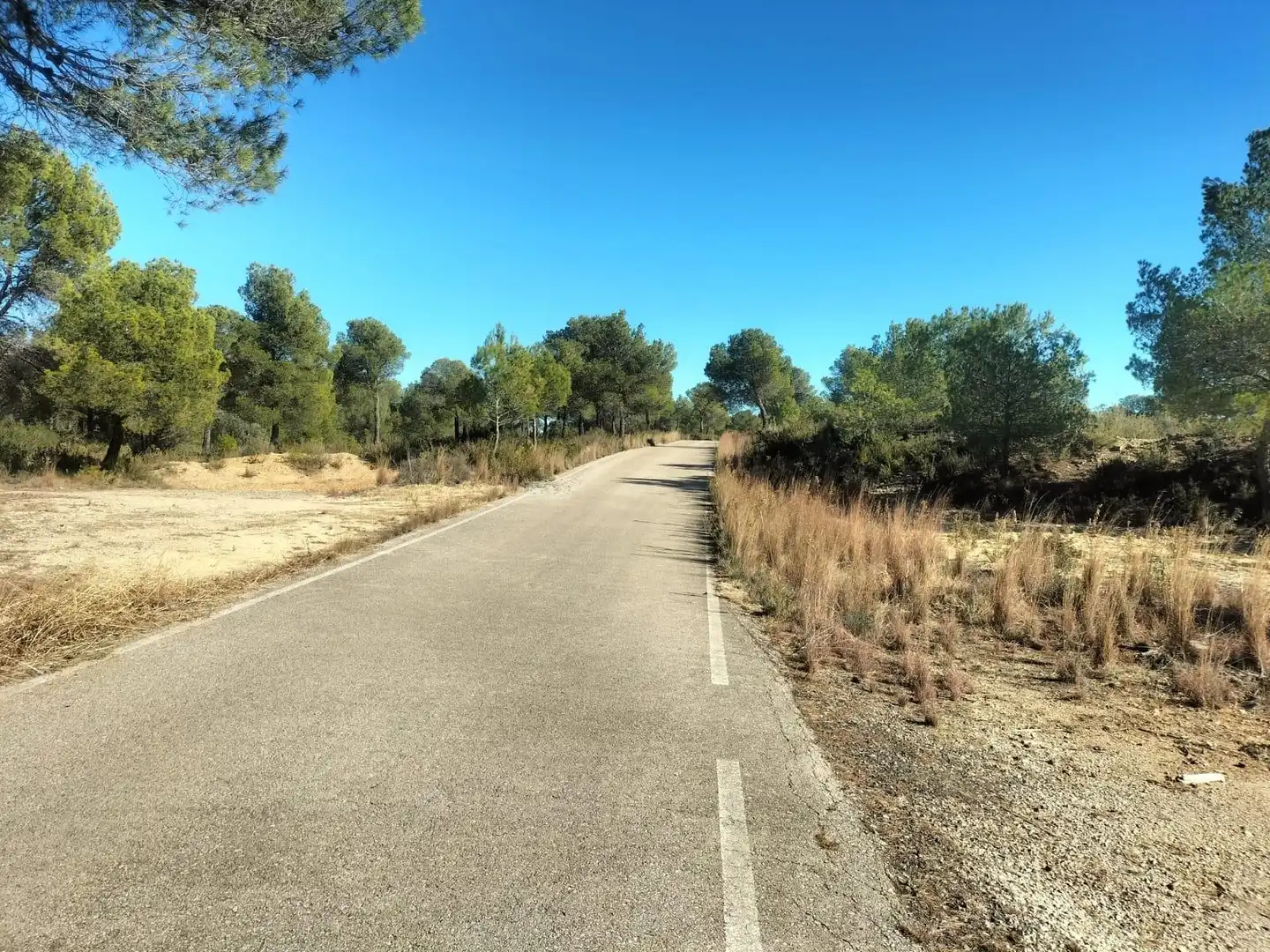 Terreno rustico in vendita a Polígono 6 Parcela 31 CARRASQUETA. NAVARRES (VALE 6, imagen 22