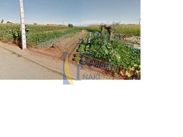 Wohnbaugrundstück zum Verkauf in Pobladura de Pelayo García