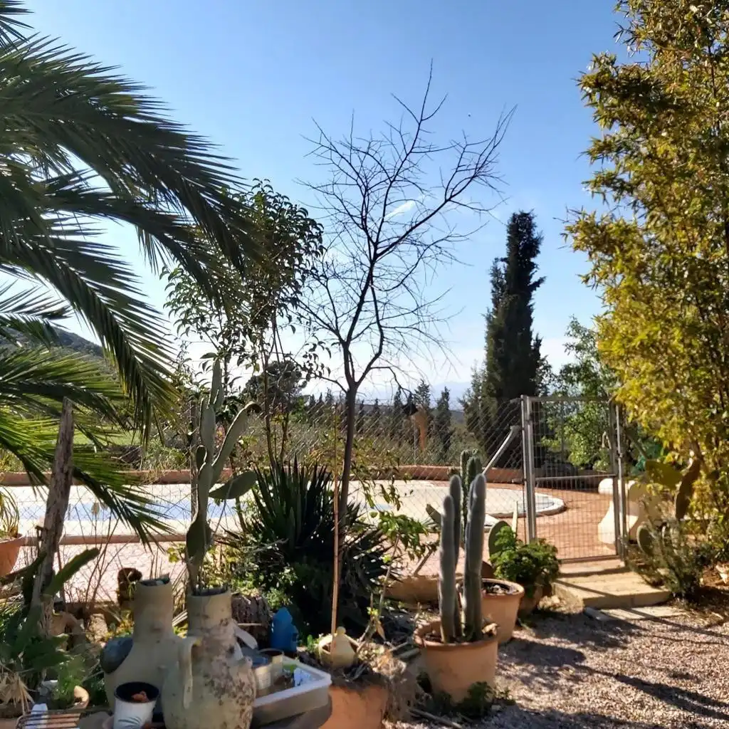 Terreno rústico en venta en Lorca Ciudad, imagen 4