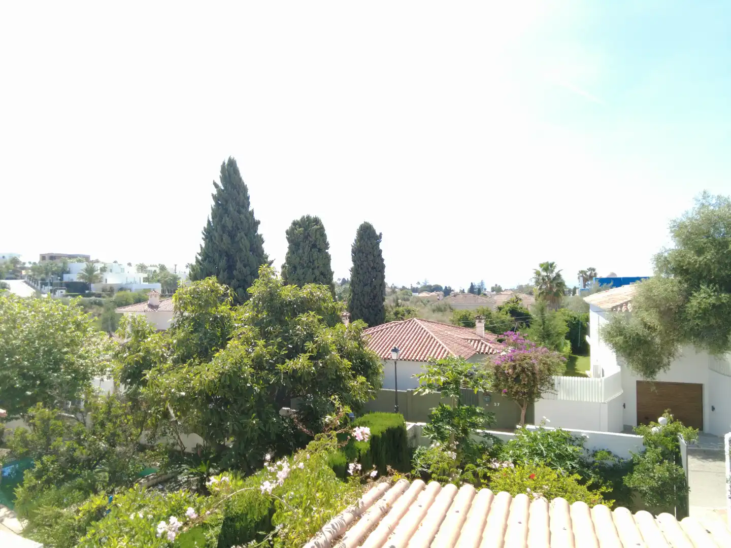 Chalet con jardín en venta en Río Real - Los Monteros, imagen 3