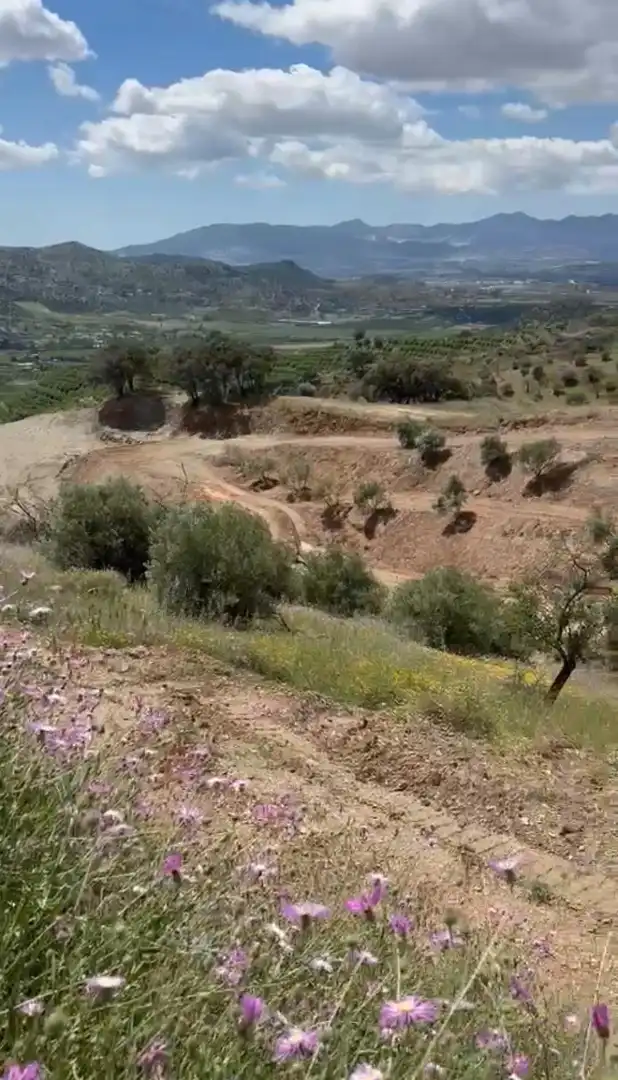 Terreni e lotti in vendita a Campanillas, imagen 3