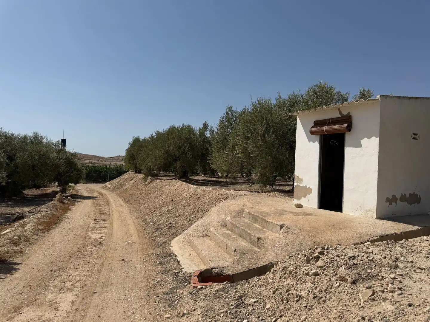 Rustikales Grundstück zum Verkauf in Abanilla, imagen 11