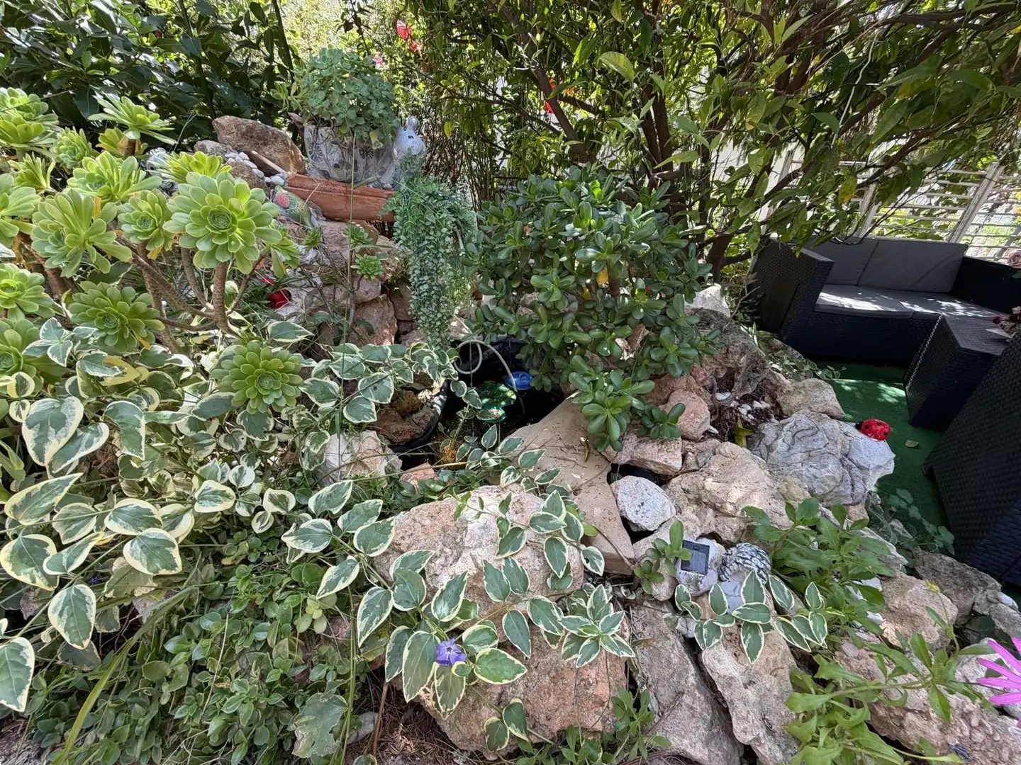 Jardí de Casa o xalet en venda en Sant Jaume dels Domenys