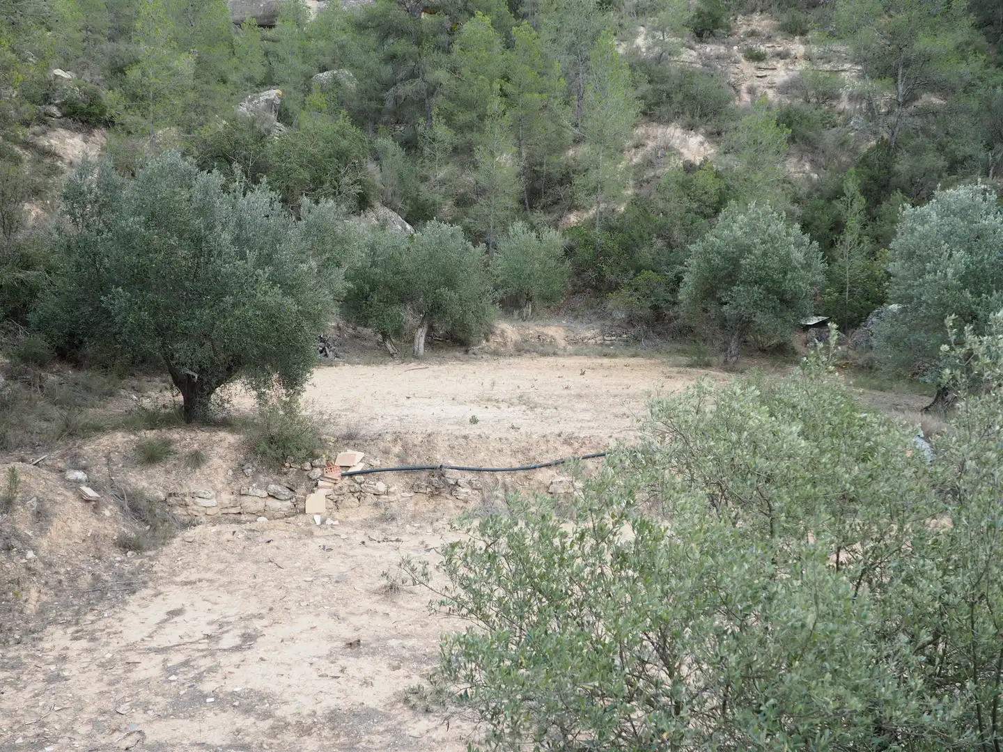 Terrain rustique à vendre à Avinguda Flix, imagen 27