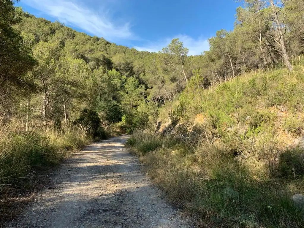 Rural land for sale in C/ Peixos (Urb Más Milá), imagen 7