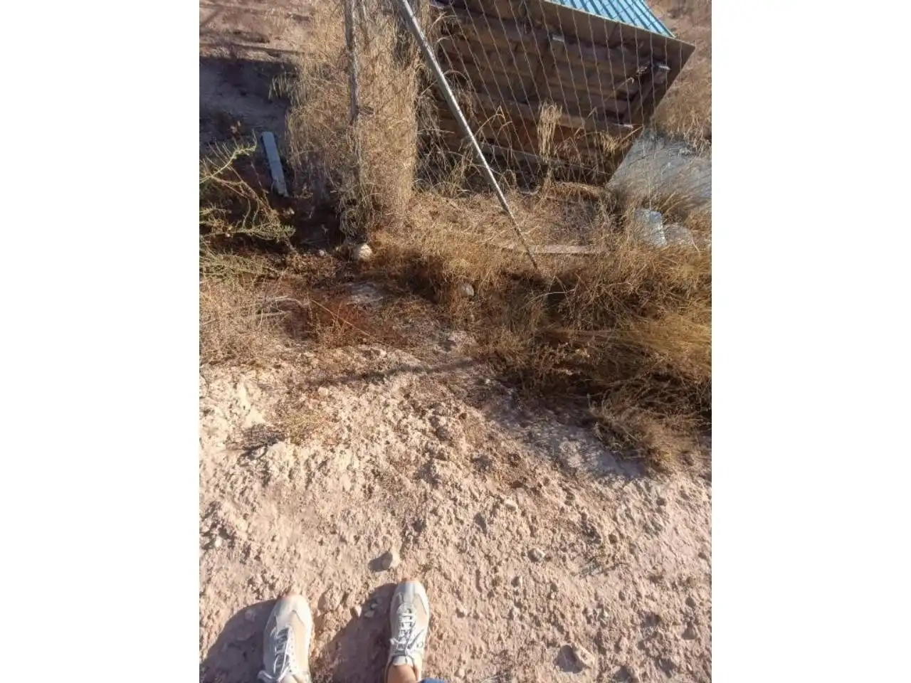 Residential land for sale in Sax, imagen 14