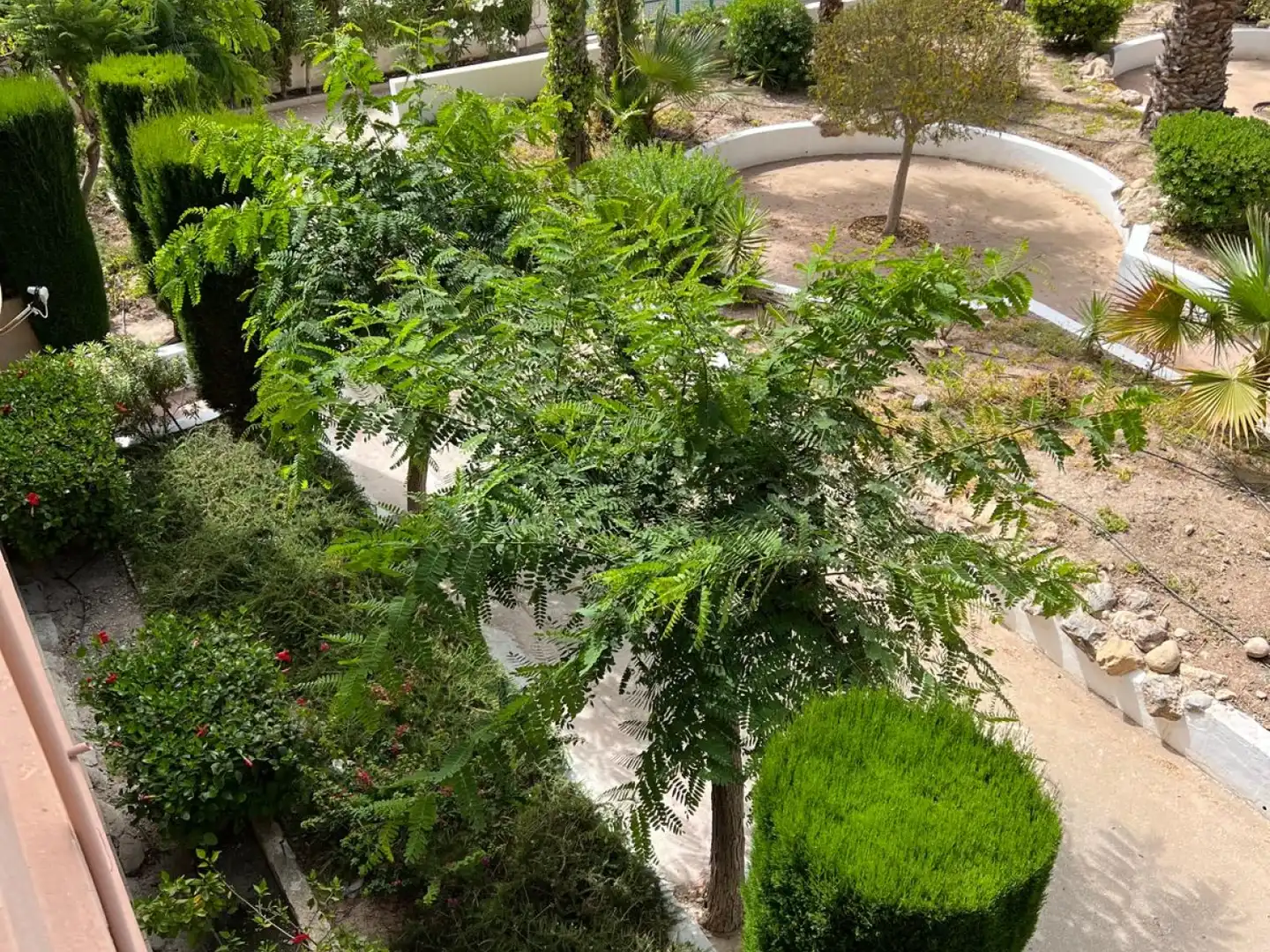 Apartament de lloguer a Bahia